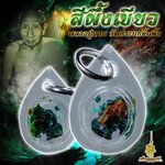 สีผึ้งเขียว หลวงปู่ทาบ วัดกระบกขึ้นผึ้ง FLTA