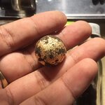 ลูกอมลูกใหญ่ชุดบูชาครูปิดทองเดิมเดิม อาจารย์เปล่ง บุญยืน