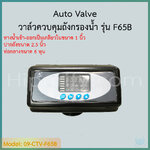 วาล์วควบคุมถังกรองน้ำ Auto Valve Intel/Outlet 1 นิ้ว คอ 2.5 นิ้ว รุ่น F65B สำหรับสารกรองเรซิ่น