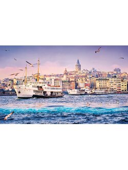 Pintoo - Golden Horn, Turkey 1000 pcs.