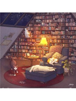 Pintoo - Library by Limduey 900 pcs.