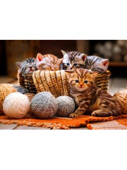 Bluebird Puzzle - Kittens in Basket 1000 pcs.