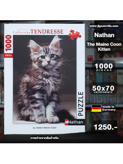 Nathan - The Maine Coon Kitten 1000 pcs.