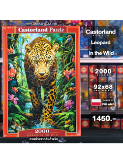 Castorland - Leopard in the Wild 2000 pcs.
