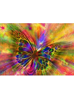 Bluebird Puzzle - Colorful Butterfly by Pixabay-Garalt 1500 pcs.