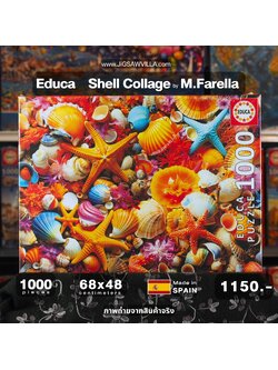 Educa - Shell Collage by M.Farella 1000 pcs.
