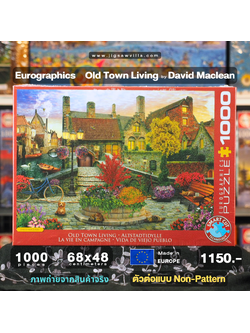 Eurographics - Old Town Living (Non-Pattern) 1000 pcs.