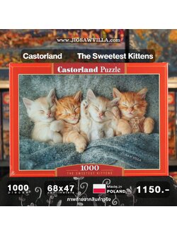 Castorland - The Sweetest Kittens 1000 pcs.