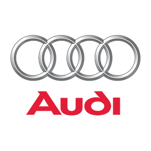 T.ปั้มติ๊ก/อุปกรณ์ควบคุม ระบบเชื้อเพลิง (AUDI, VW)