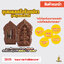 ขุนแผนเครือ 100 ปลา ปู่เพ็ญจอมขมังเวทย์ FL