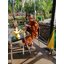 กุมารแดง ไอ้แดง วัดท่าลาดใต้ หลวงพ่อวิญญู FLT