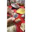 3 - 4 ตุลาคม 2568