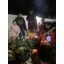 ผึ้งเมตตากรูธมครูใหญ่ ปู่ต้อม วังนาคา