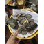 ปั้นเหน่งพรายแม่นันทนาเจ้ามือหวย หน้าตาดี อายุ 35 ร้อยเอ็ดอาจารย์เวียง ขุนแผน F