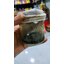 น้ำมันพรายหัวเชื้อ หลวงปู่ชื่น วัดตาอี ✔️