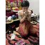 น้ำมันพรายคำหล้า เฮี้ยนแรง น้ำมันพรายตัวเด็ดขาดเรื่องเสน่ห์ ป้ายทีมีได้เสีย