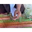 ตะกรุดใจปรารถนา (สั่งทำเฉพราะคน) อาจารย์โง่ก พจน์รัมย์