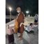 รวมภาพบวชน้องชาย ตาล 17/07/64 +