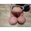 วิชาหม้อพราย ตากรวง ยายกร๊ะ อาจารย์เขมร FLT