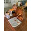 กุมารแดง ไอ้แดง วัดท่าลาดใต้ หลวงพ่อวิญญู FLT