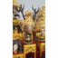 20/01/68 อาจารย์กาวิน มนต์พระมุนี รัชมงคลธรรมสถาน อุทยานบรมครูปู่เจ้าสมิงพราย