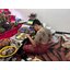 ตะกรุดพญาเสือนอนกิน สร้างจากเสือกินคนมาหลายศพ เสกโดย อาจารย์สมมาต อาจารย์บุญมา อาจารย์เพชร