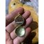 ผึ้งเมตตากรูธมครูใหญ่ ปู่ต้อม วังนาคา
