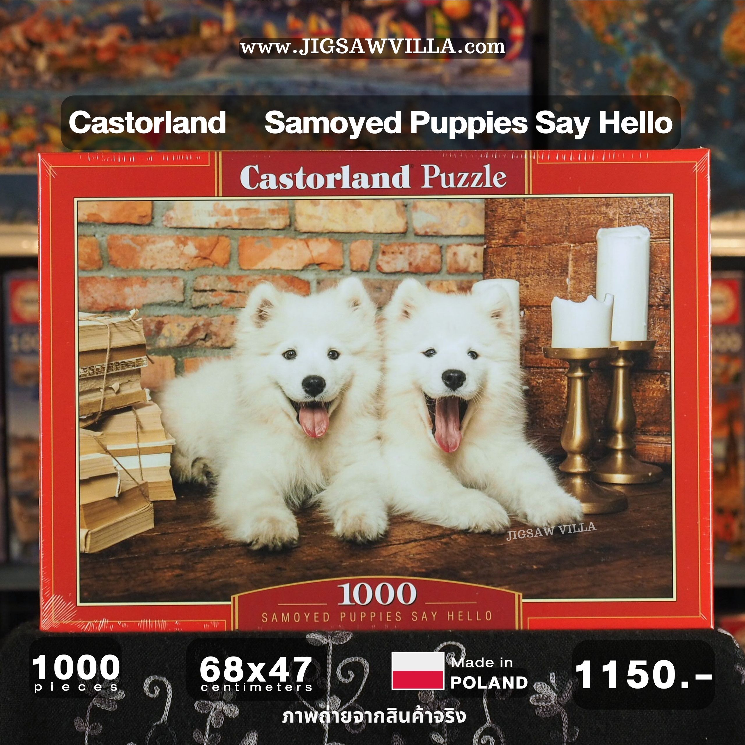 Castorland - Samoyed Puppies Say Hello 1000 pcs.