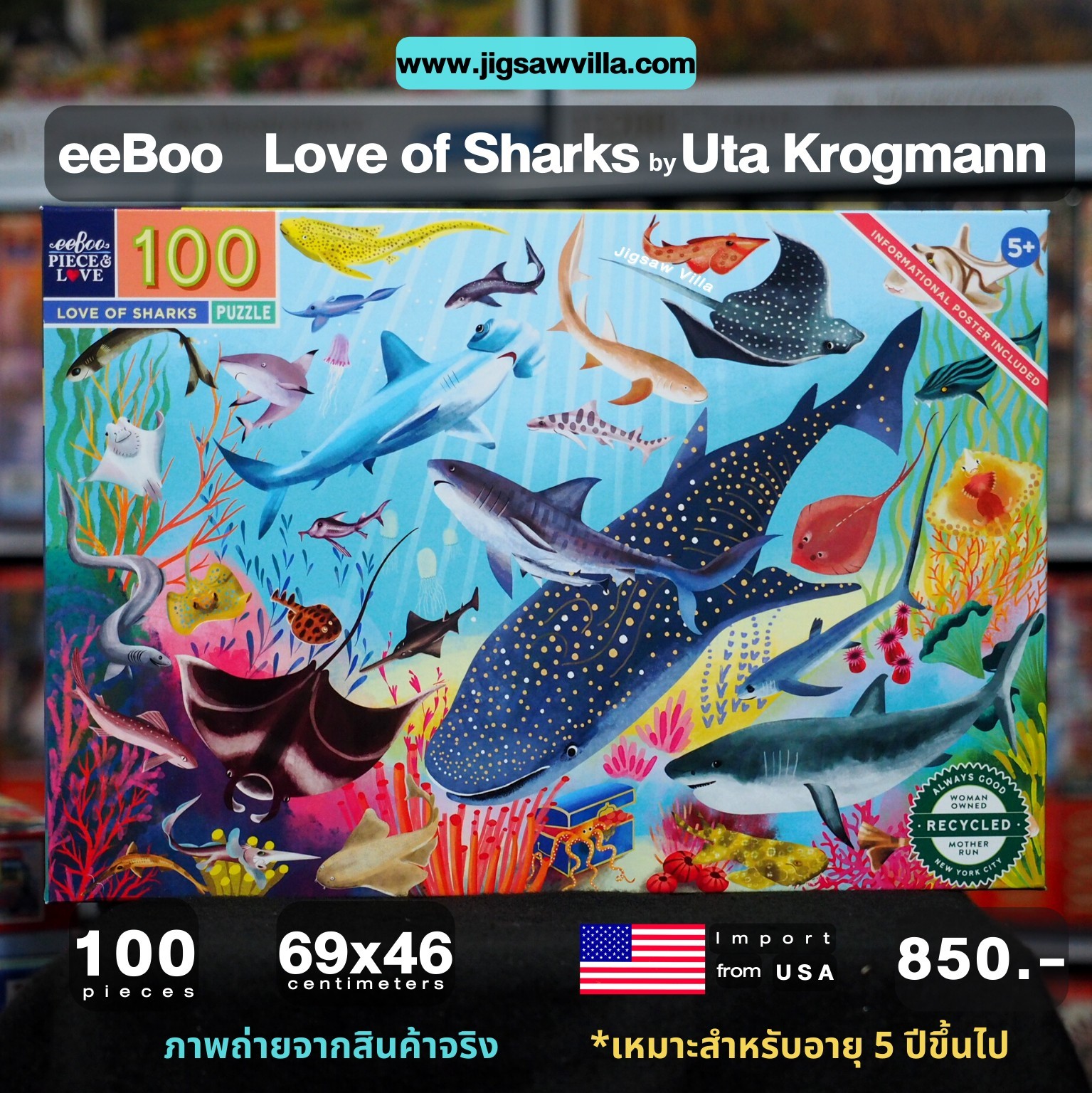 eeBoo - Love of Sharks by Uta Krongmann 100 pcs.