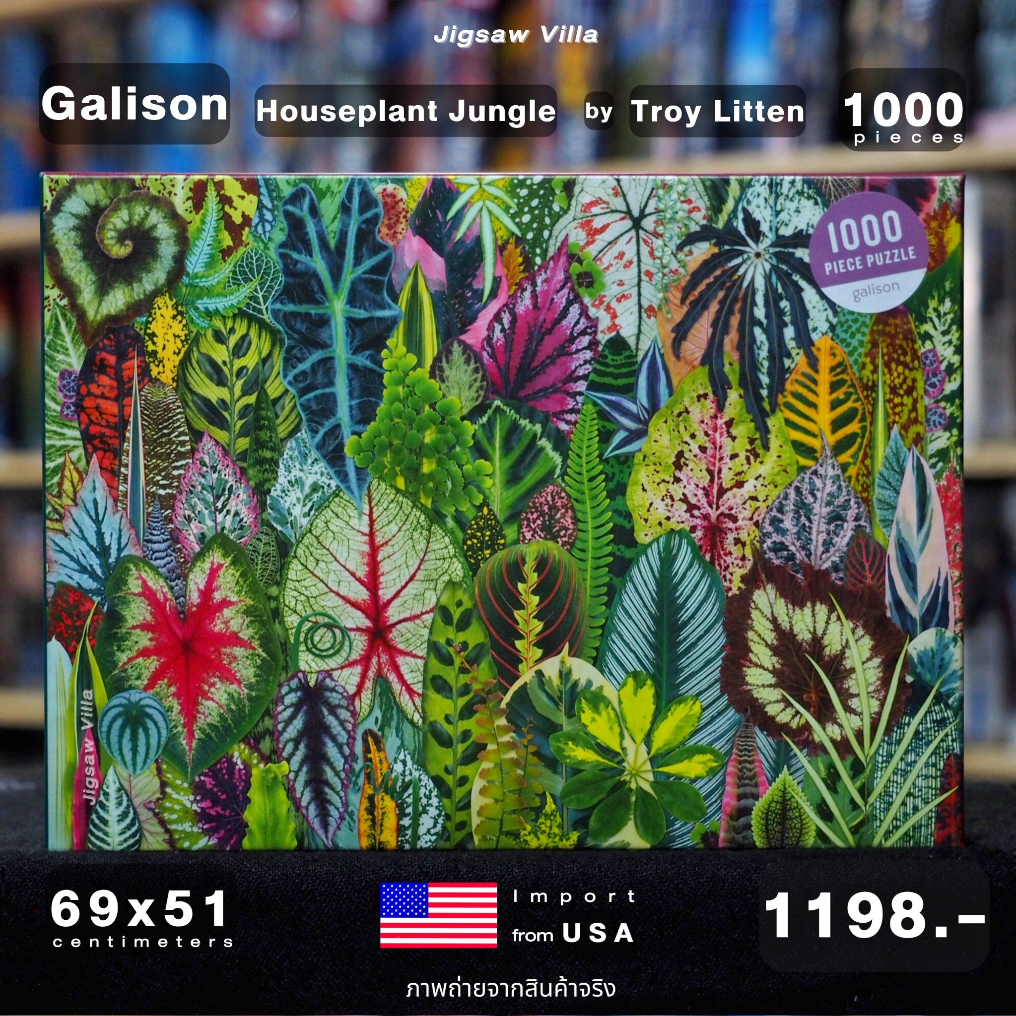 Galison - Houseplant Jungle by Troy Litten 1000 pcs.