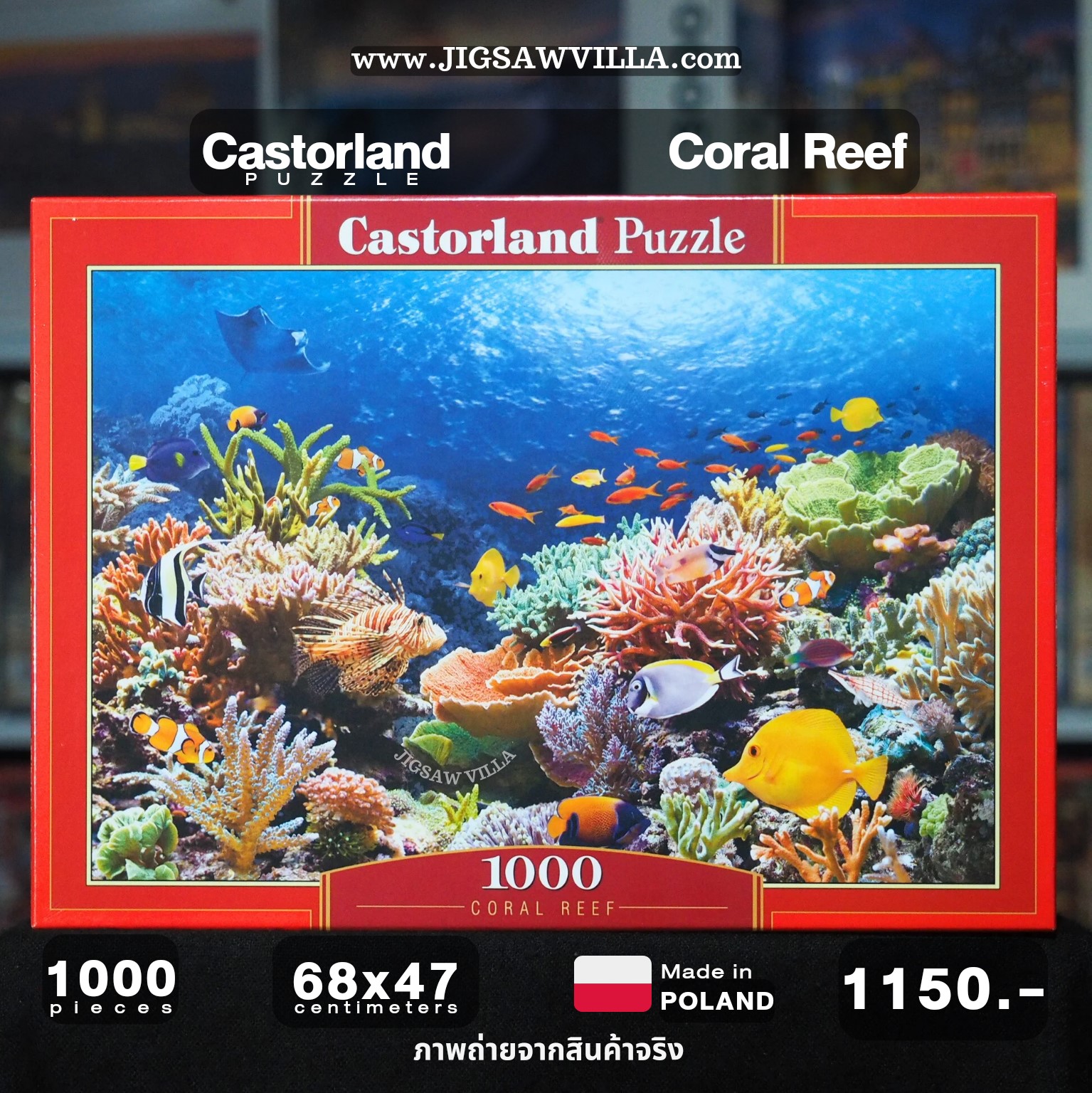 Castorland - Coral Reef 1000 pcs.