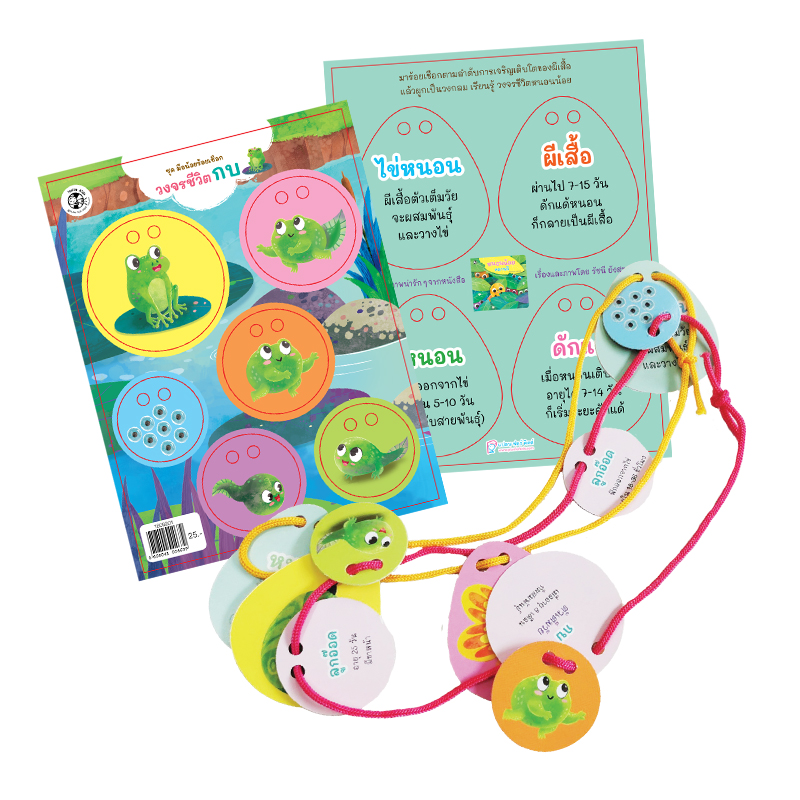 Plan for kids ของเล่นกระดาษ ชุด มือน้อยร้อยเชือก (วงจรชีวิตกบ) ของเล่นเสริมพฒนาการ
