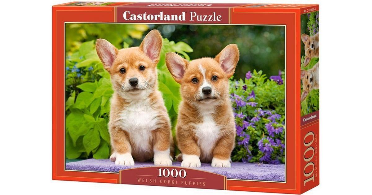 Castorland - Welsh Corgi Puppies 1000 pcs.