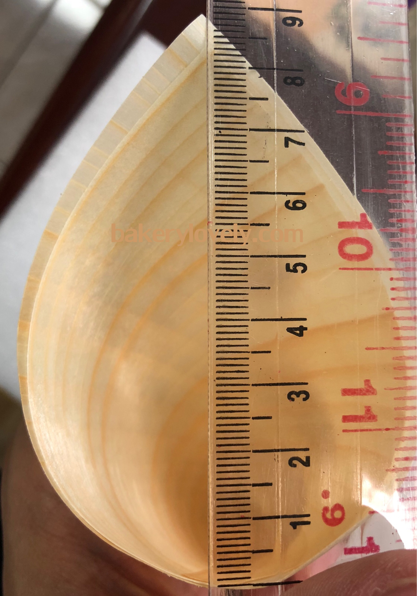 โคนไม้ ขนาดความสูง 17 cm