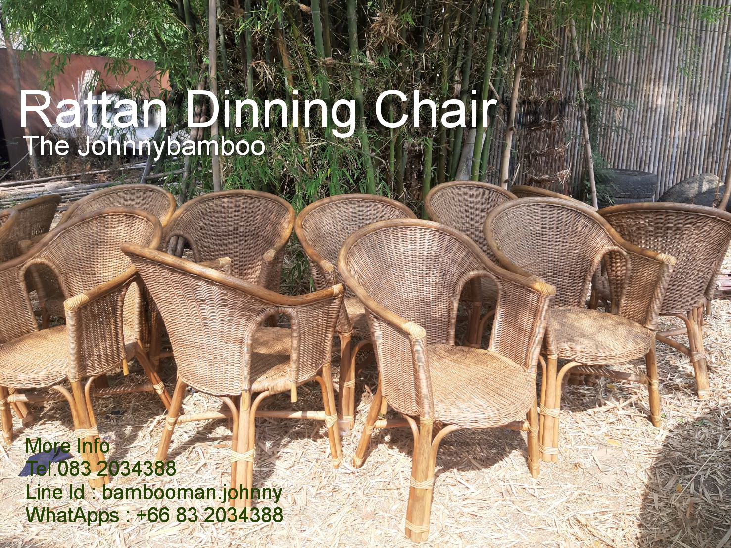 Rattan Dinning Chair RY