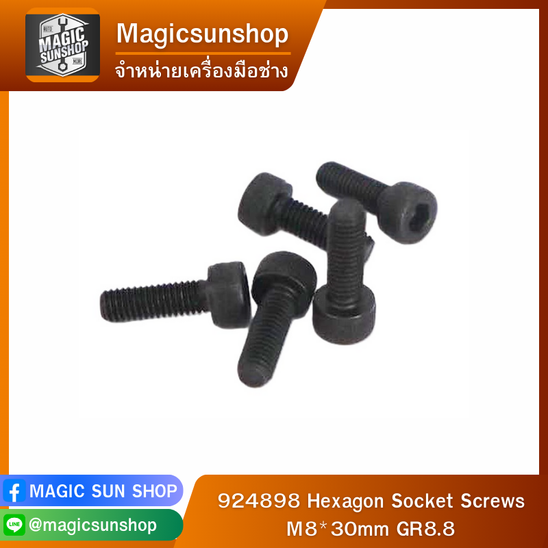 924898 Hexagon Socket Screws M8*30mm GR8.8