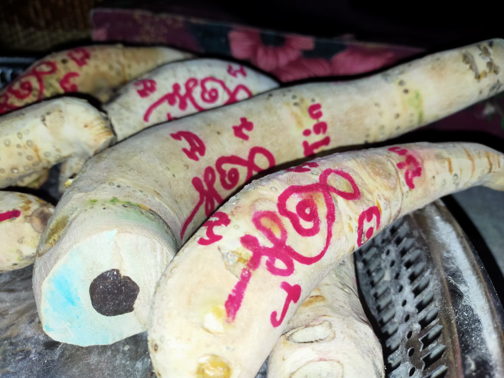 ⭕️ คตไม้ไผ่ อาจารย์โง่ก พจน์รัมย์