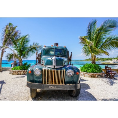 Bluebird Puzzle - Old Truck by Mariamichelle 1000 pcs.