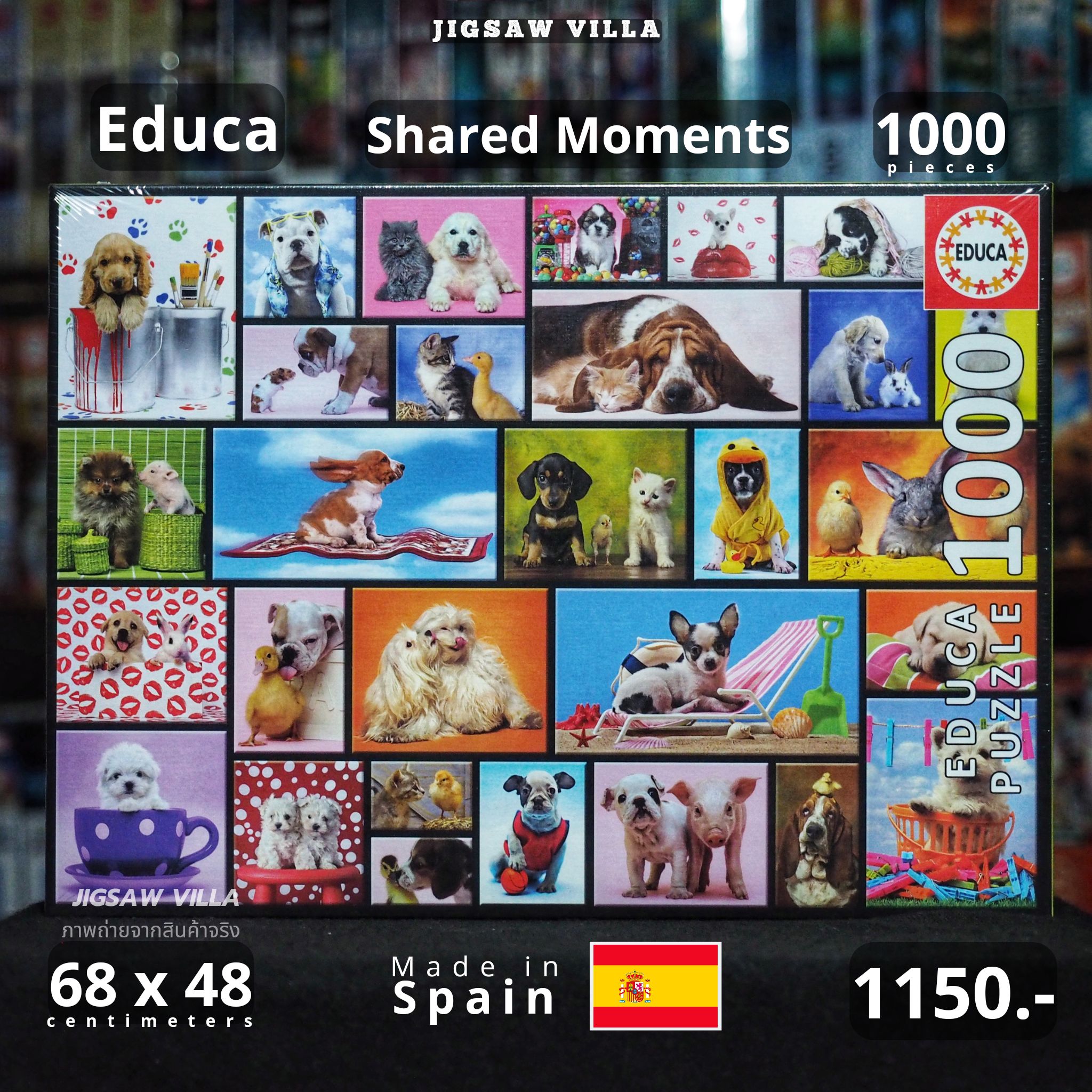 Educa - Shared Moments 1000 pcs.