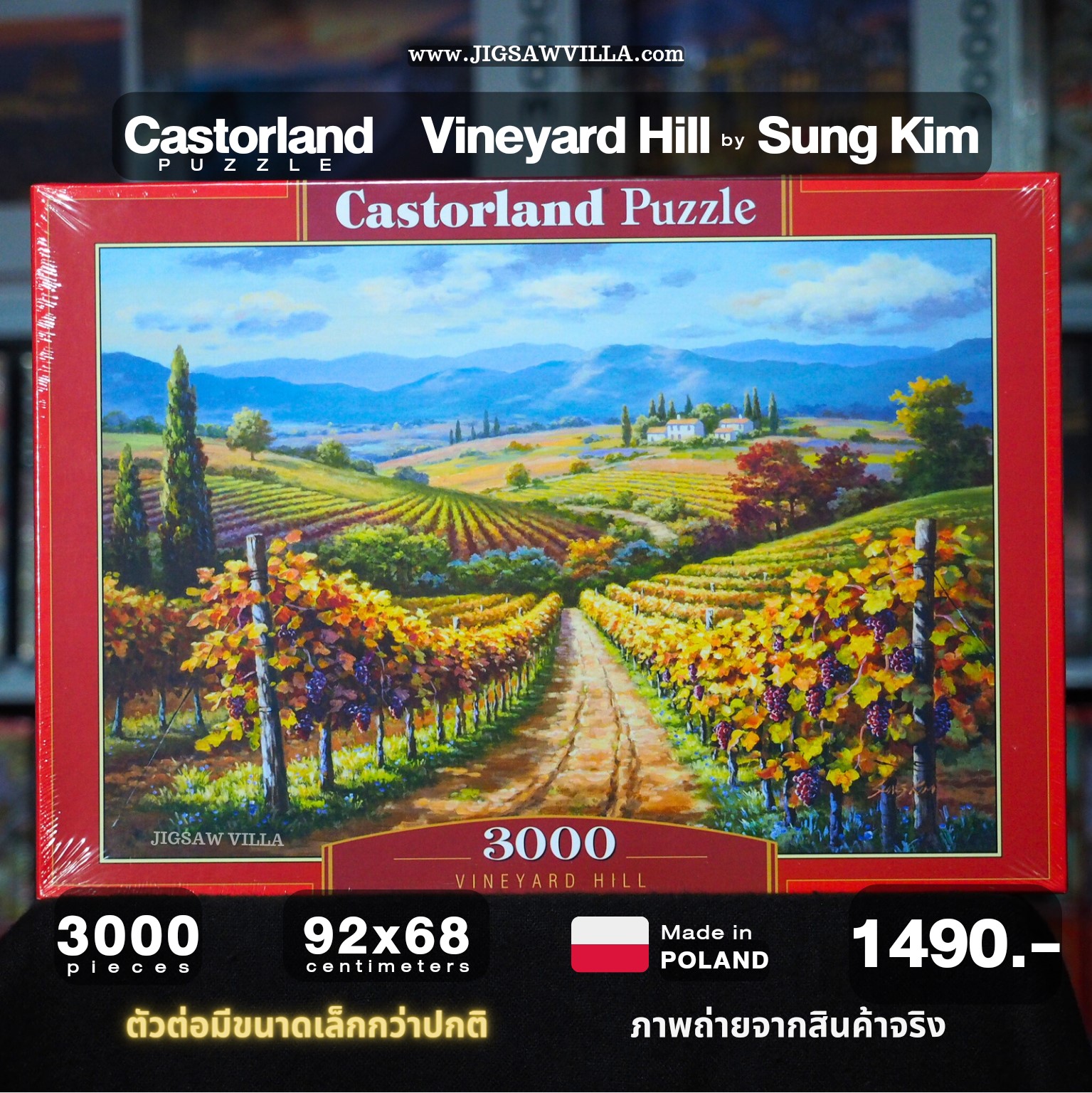 Castorland - Vineyard Hill by Sung Kim 3000 pcs.