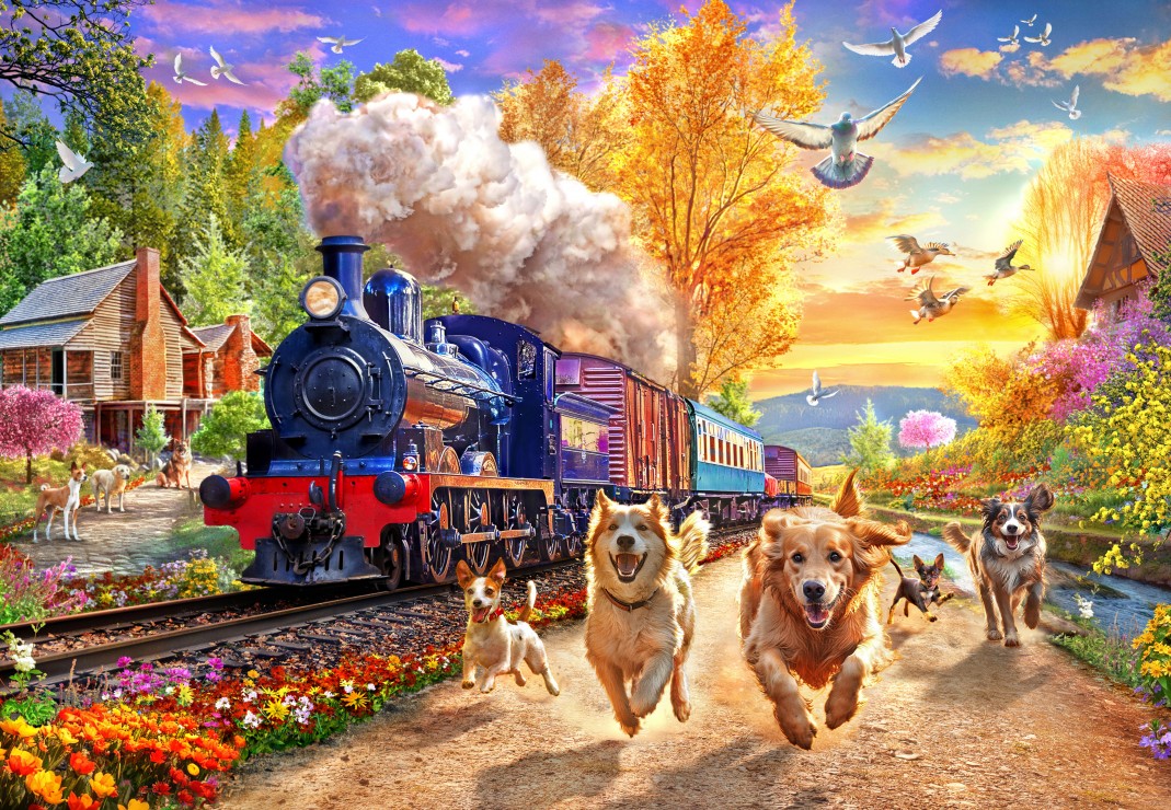Bluebird Puzzle - Following the Train 1000 pcs.