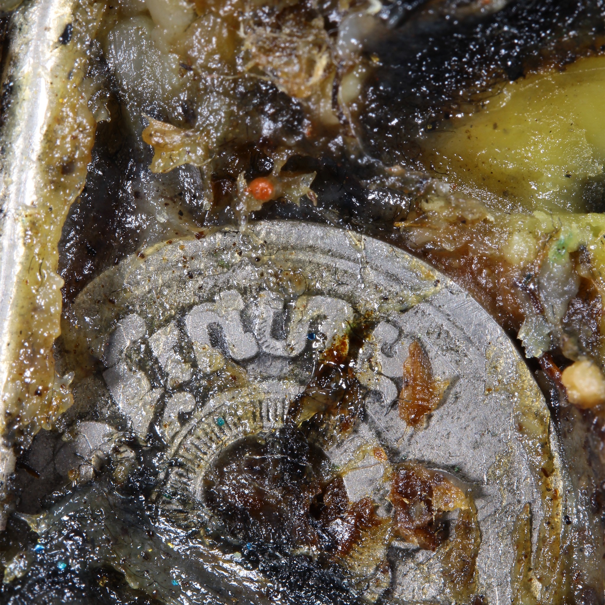 สีผึ้งรวมเกจิและฆราวาสที่มีชื่อเสียงในเขตประเทศไทยและเขมร