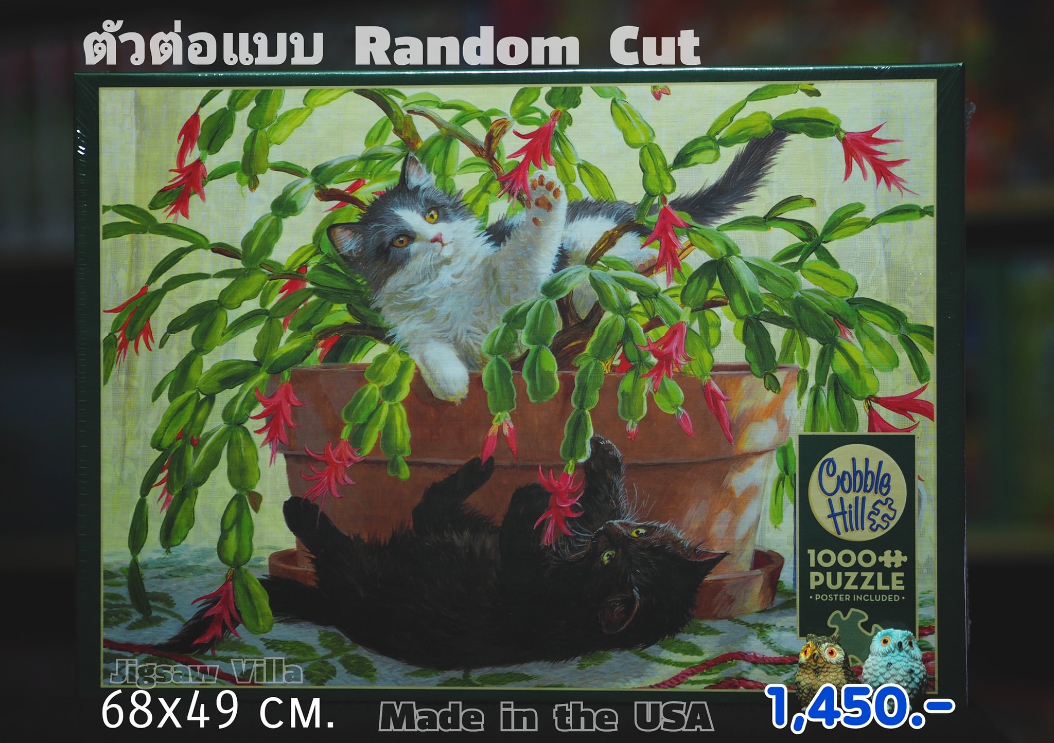 Cobble Hill - Cactus Kitties by Persis Clayton Weirs (Random Cut) 1000 pcs.