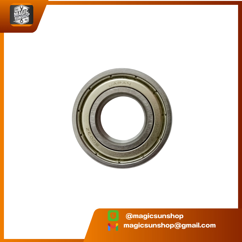 NSK Bearing 6003ZZ