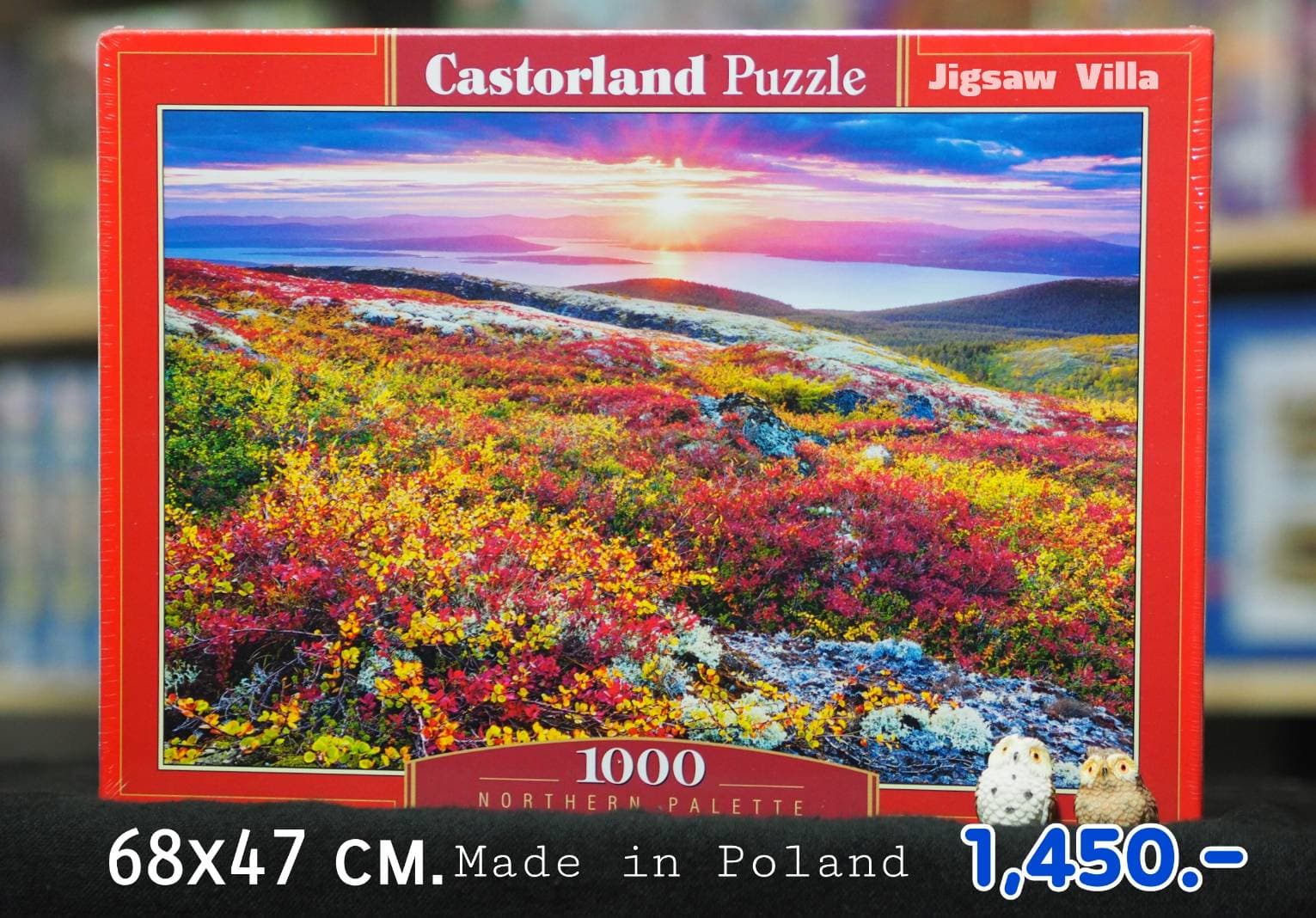 Castorland - Northern Palette 1000 pcs.