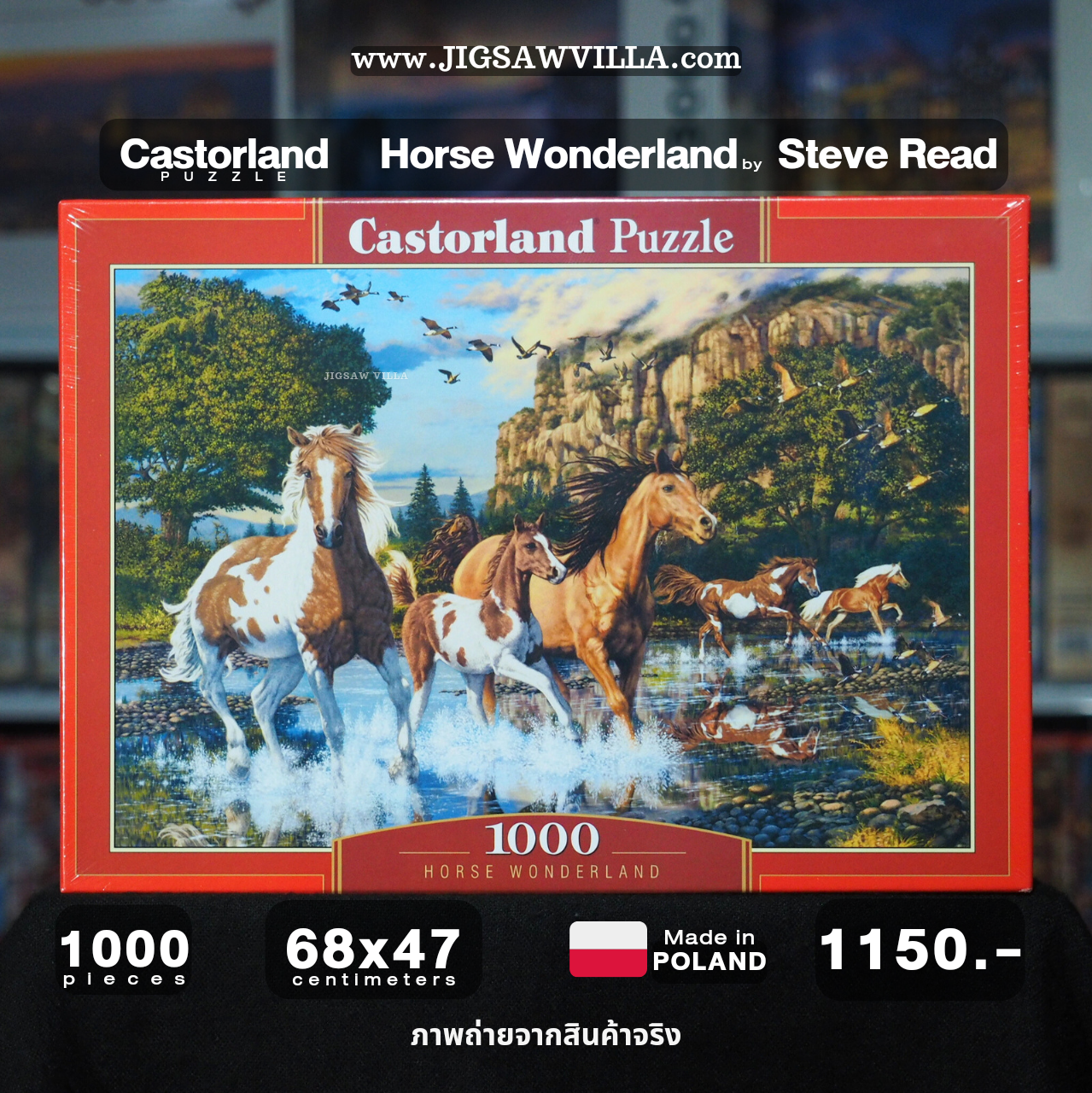 Castorland - Horse Wonderland by Steve Read 1000 pcs.
