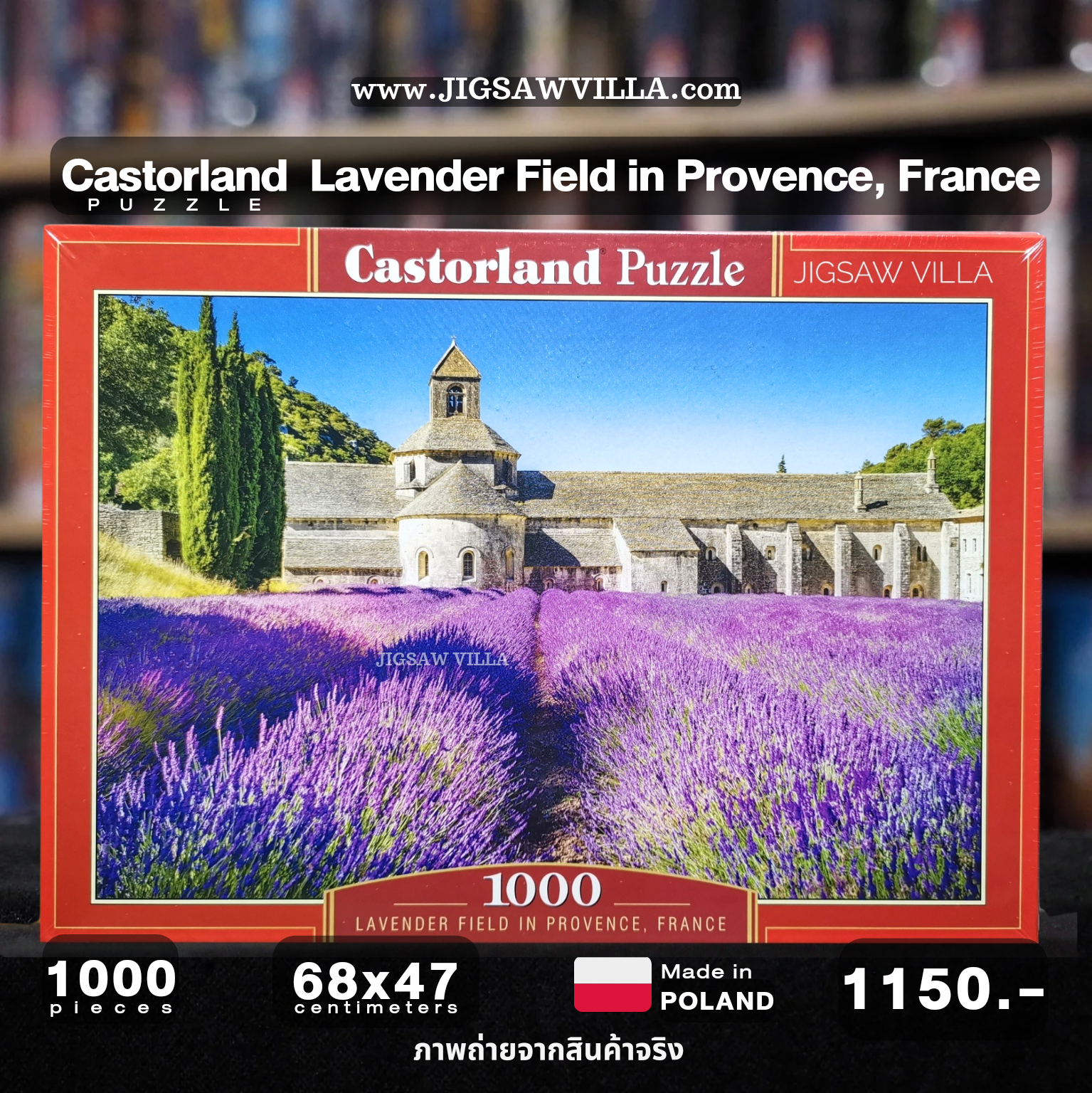 Castorland - Lavender Field in Provence, France 1000 pcs.