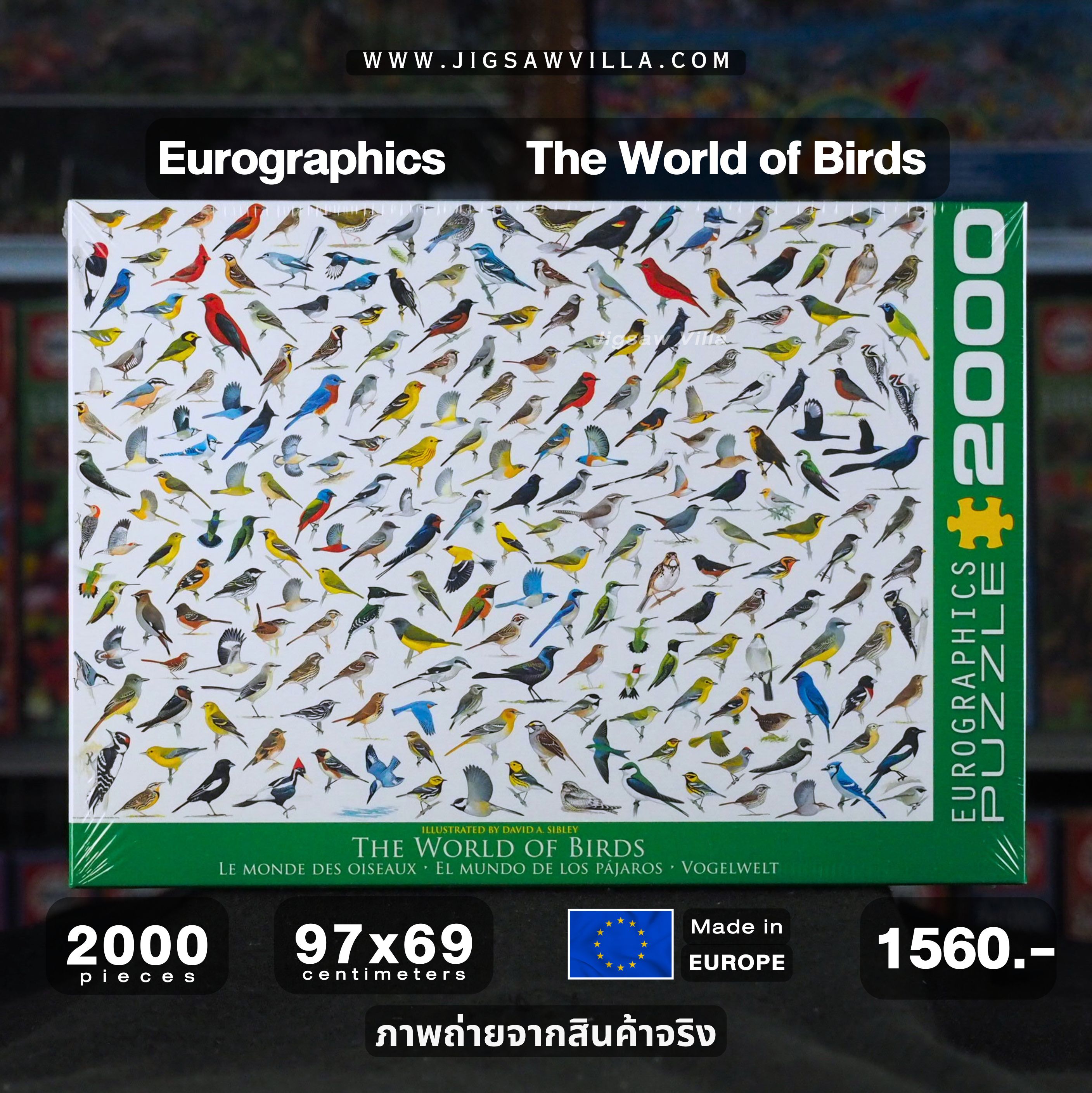 Eurographics - The World Of Birds 2000 pcs.