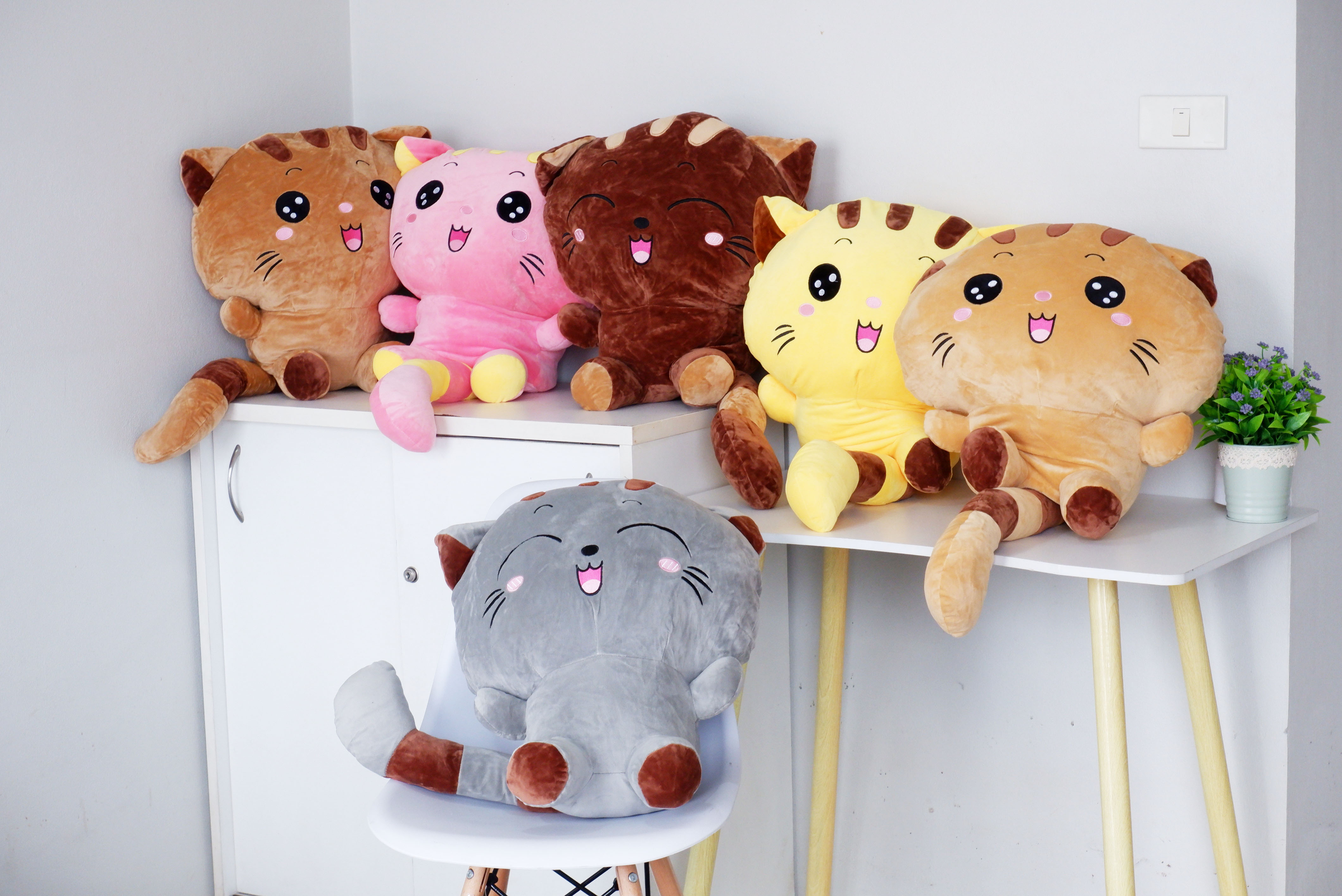 ตุ๊กตาผ้าห่ม แมวมีหาง (10 ตัวคละสี)