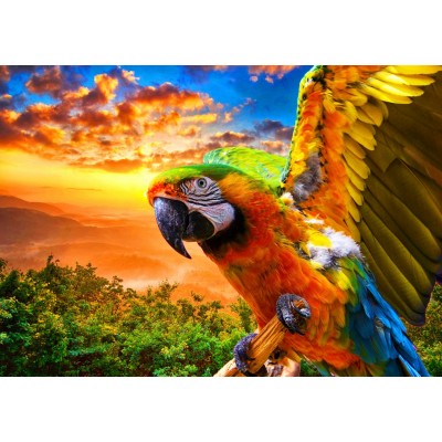 Bluebird Puzzle - Parrot by Vanja Golos 1000 pcs.